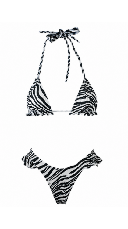 rosa zebra