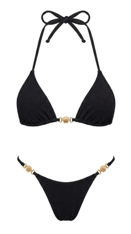 Black shell